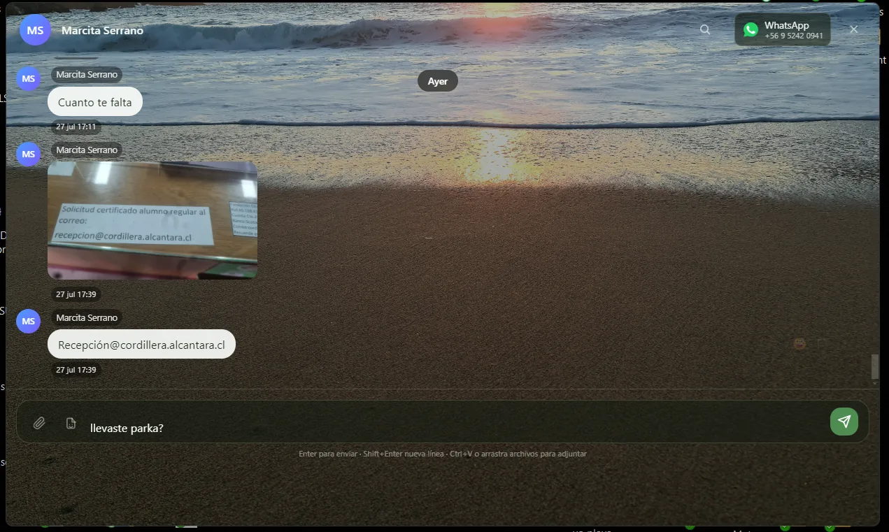 Ventana de conversación con la interfaz principal